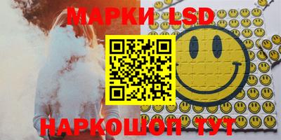 шишки Заволжье
