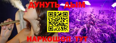 шишки Заволжье